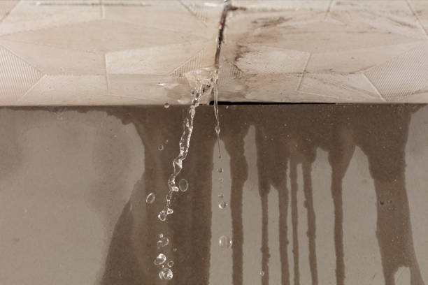 Professional Water Extraction technician working in Egypt, TX